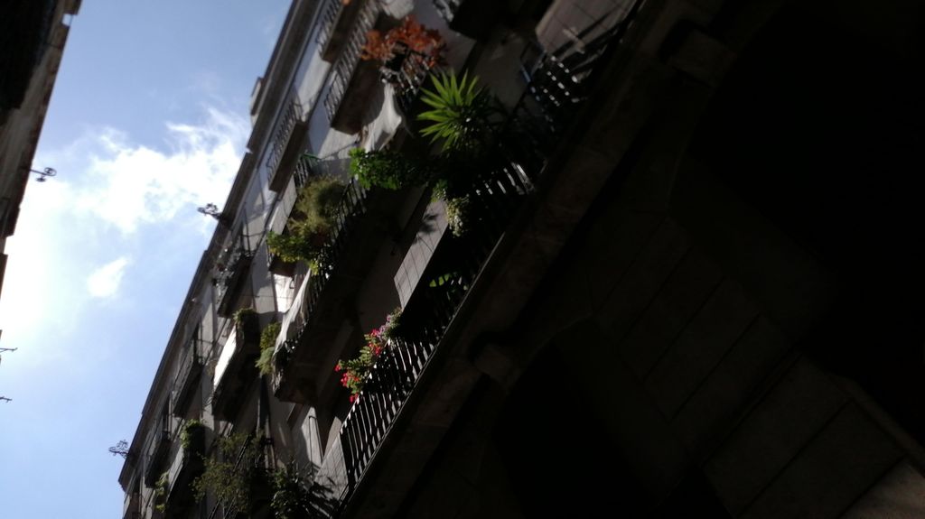 Bodega Valls