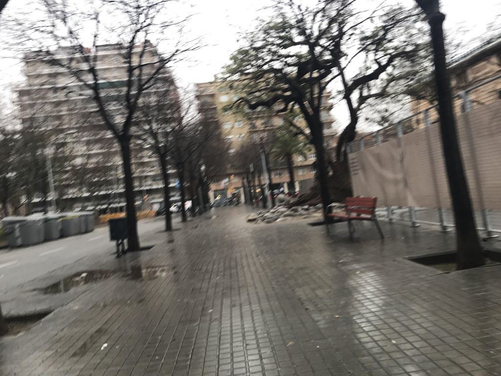 Buenas Migas