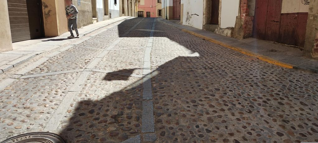 El grifo de Belona
