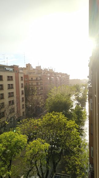La Ramona