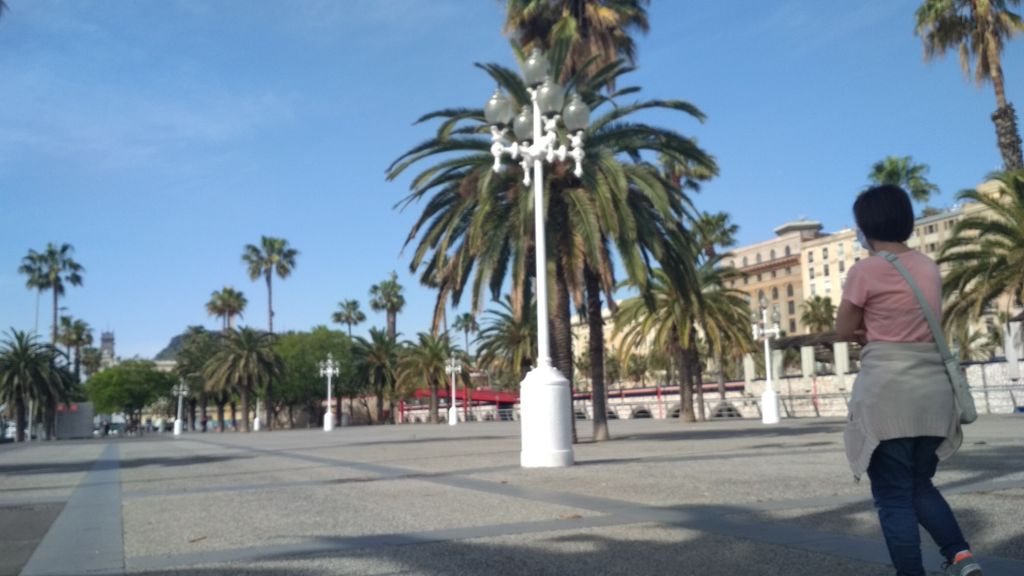 Colón