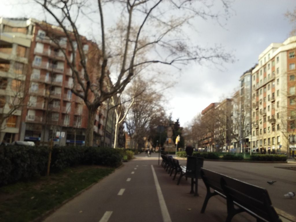 Bar cal Mingo i Loli