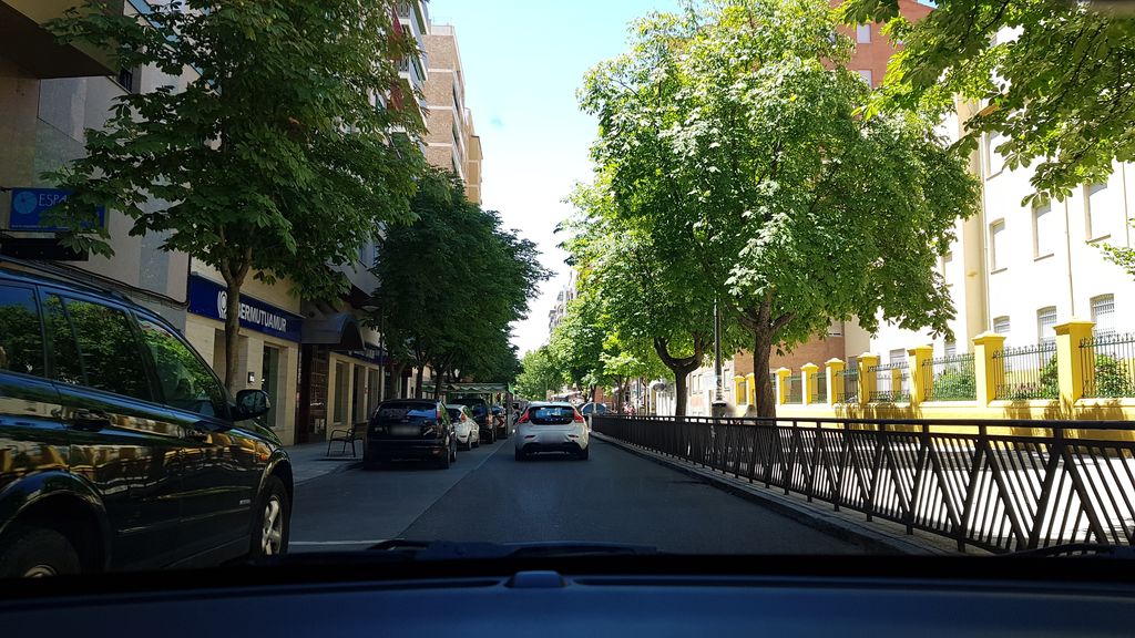 Bar Karaoke Perro Verde