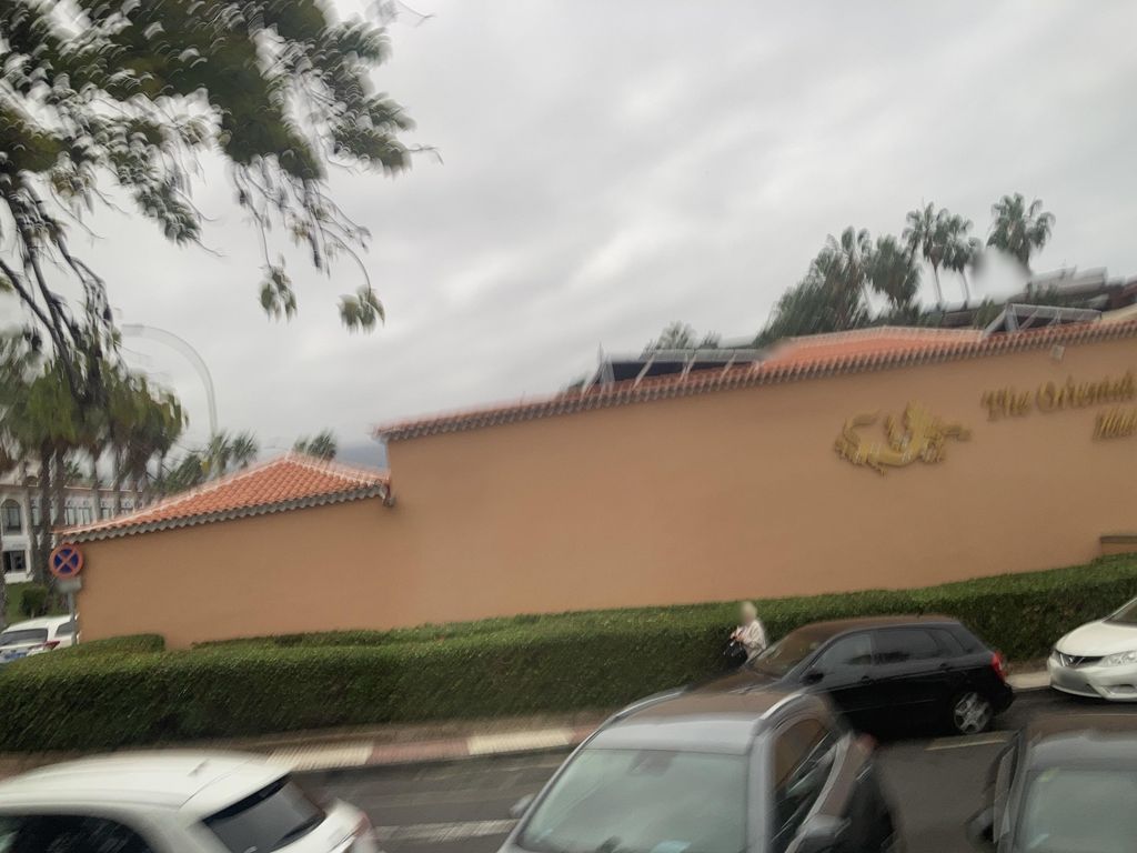 Bar Trébol