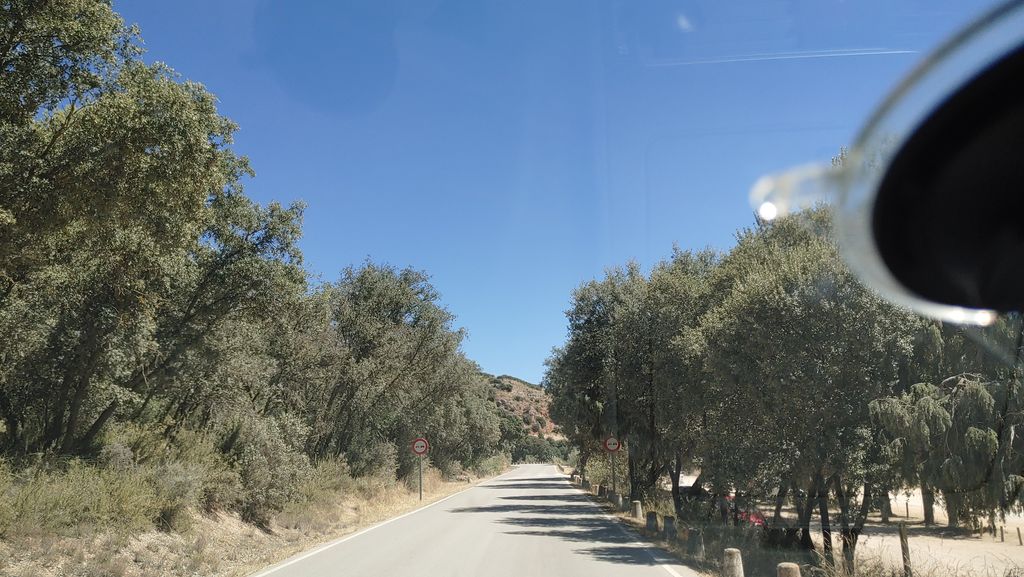 Merendero Los Chamizos