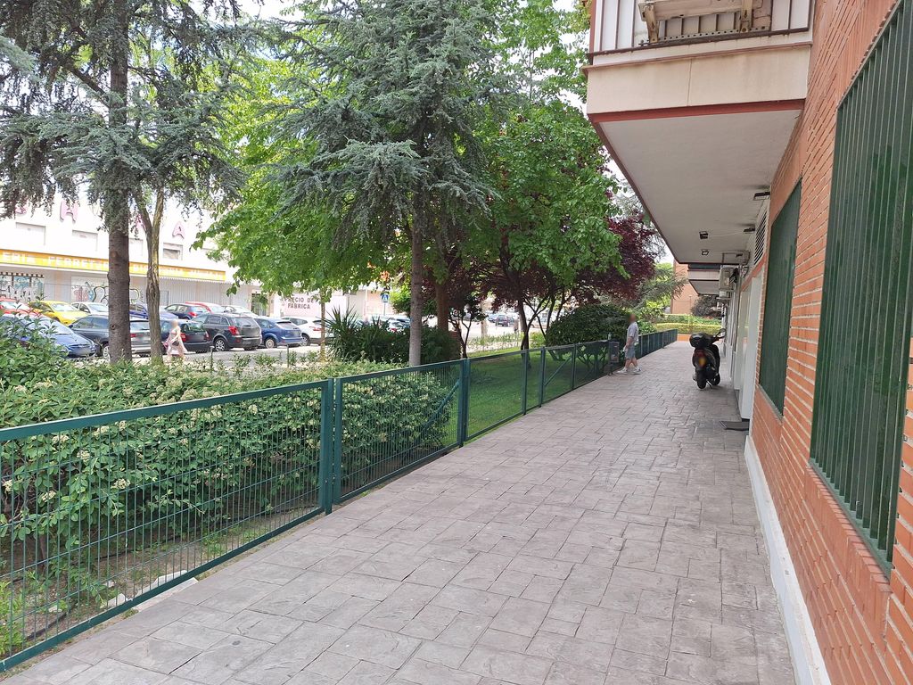 La espiga