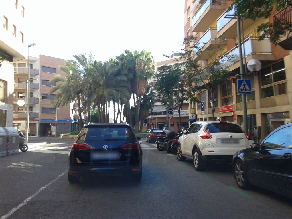 Tarrarena
