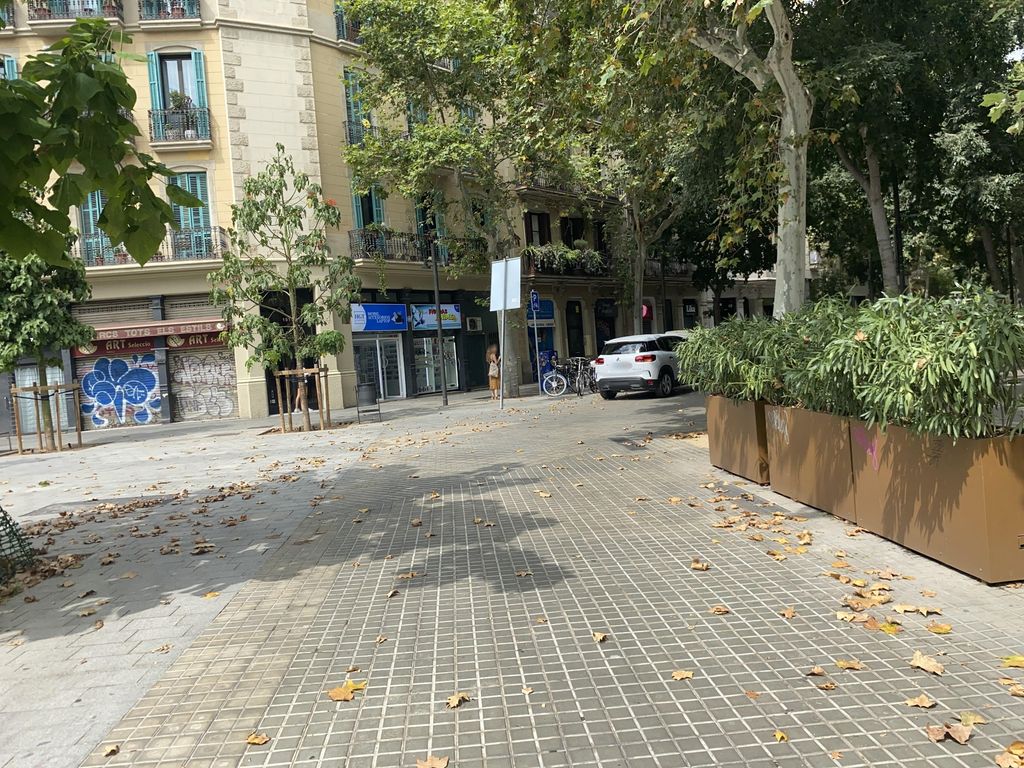 Espiga Craft Beer Shop