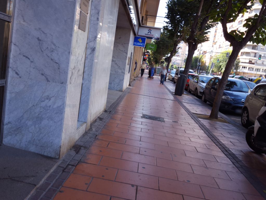 Verdementa