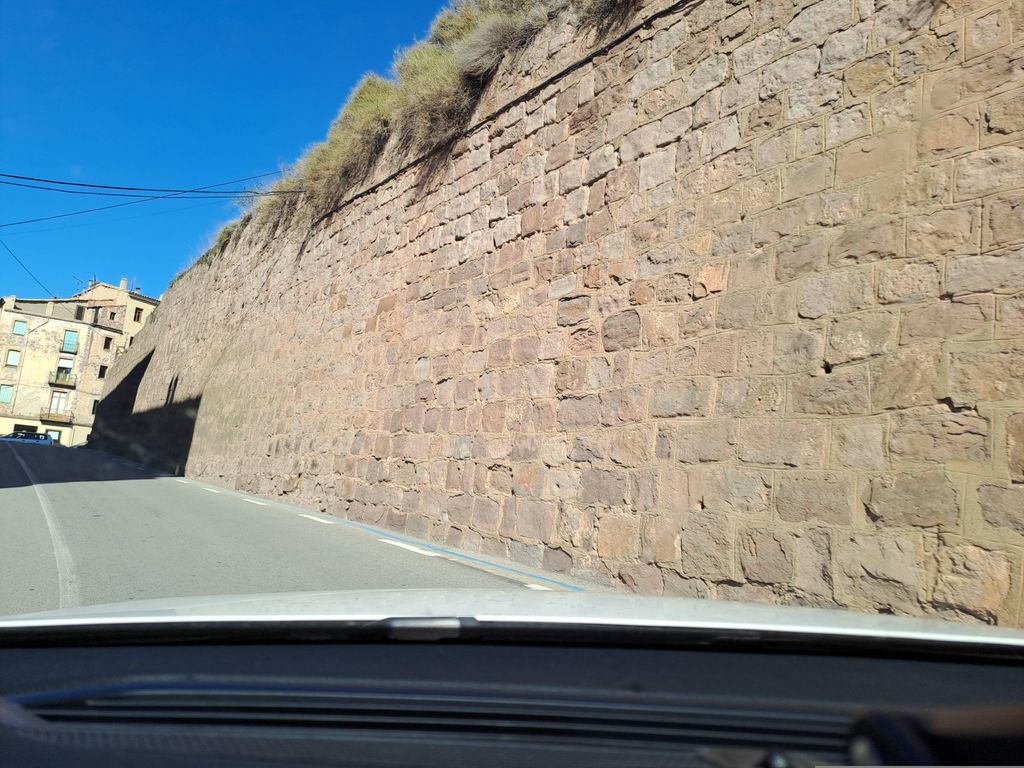 Flequers de Cardona