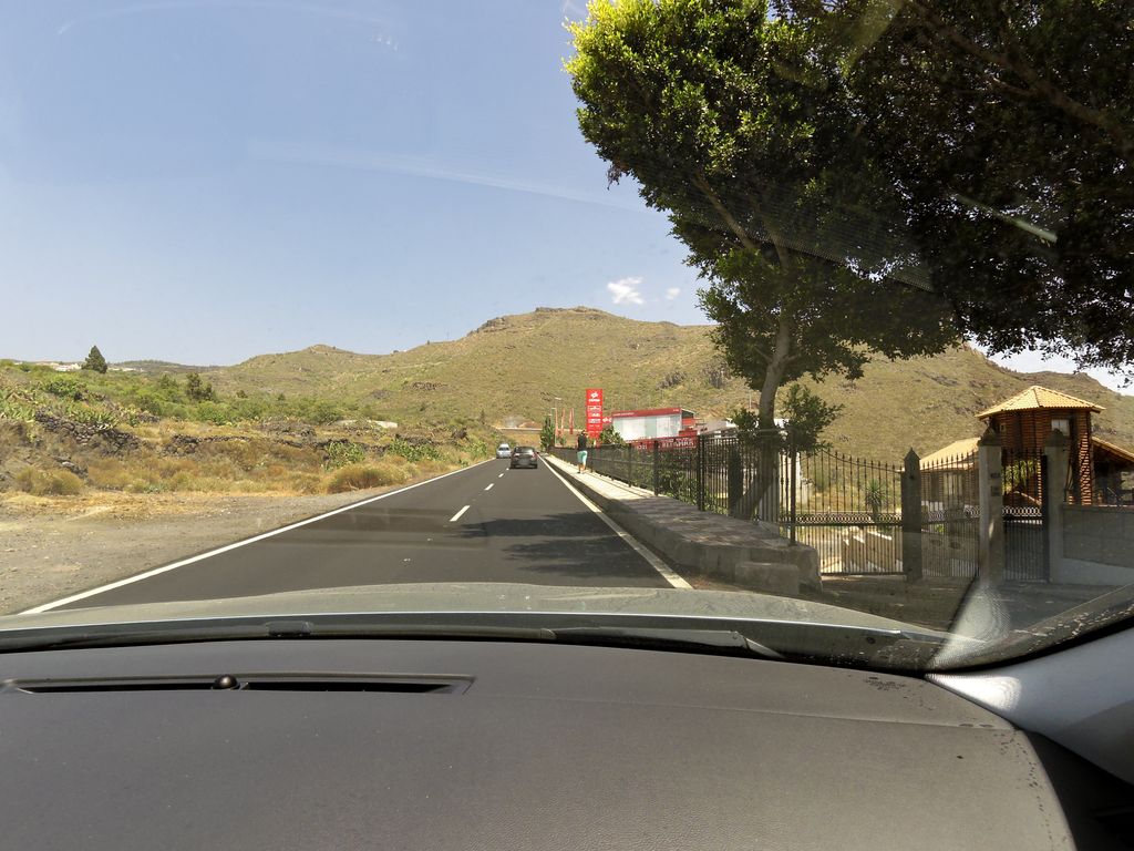 Higo Pico Flower Café