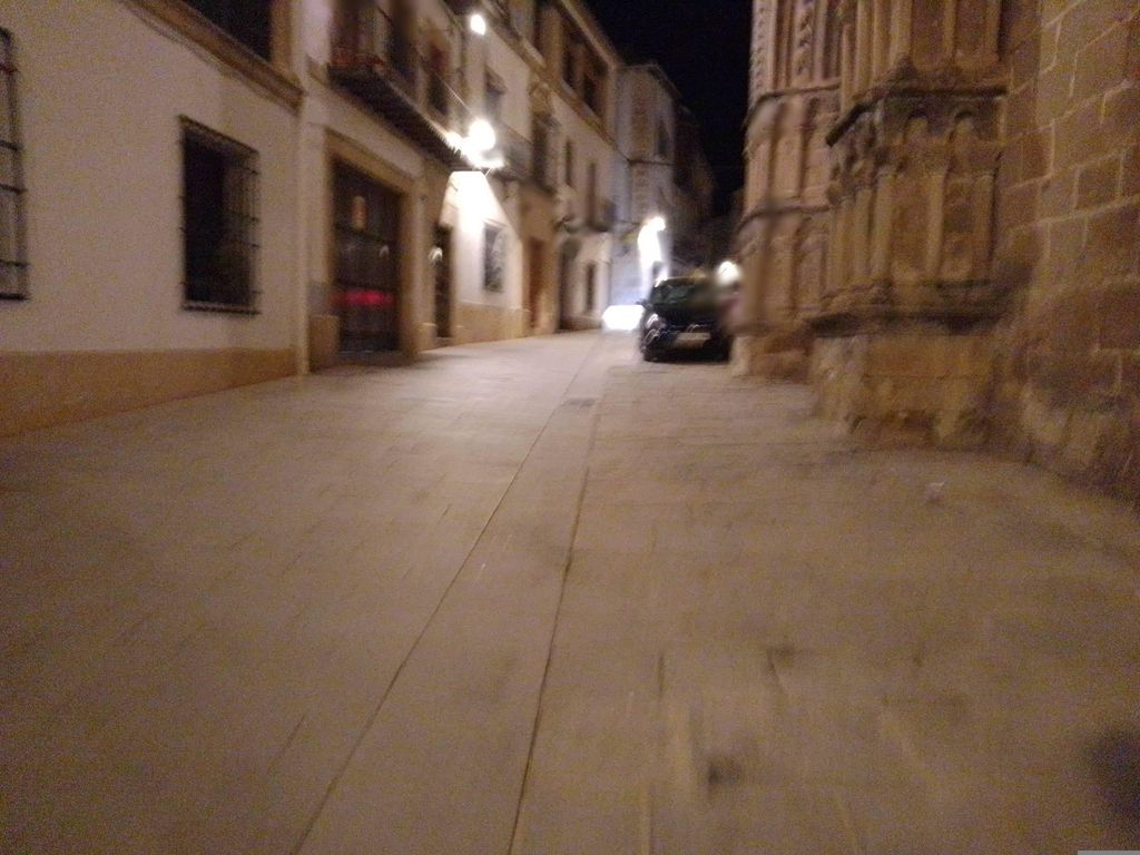 Navarro