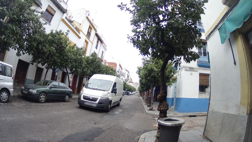 Sociedad de Plateros