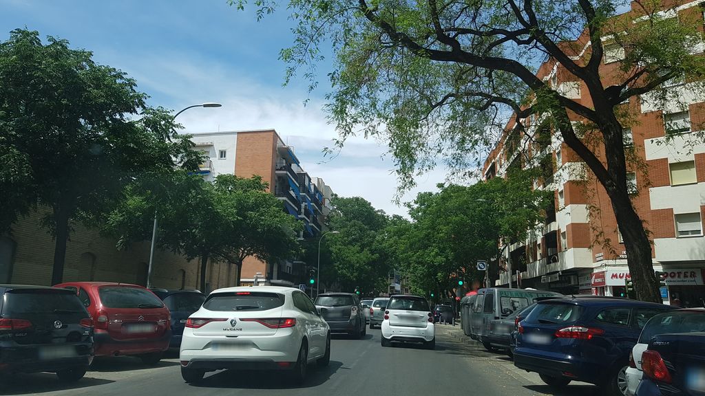 Las Rosas