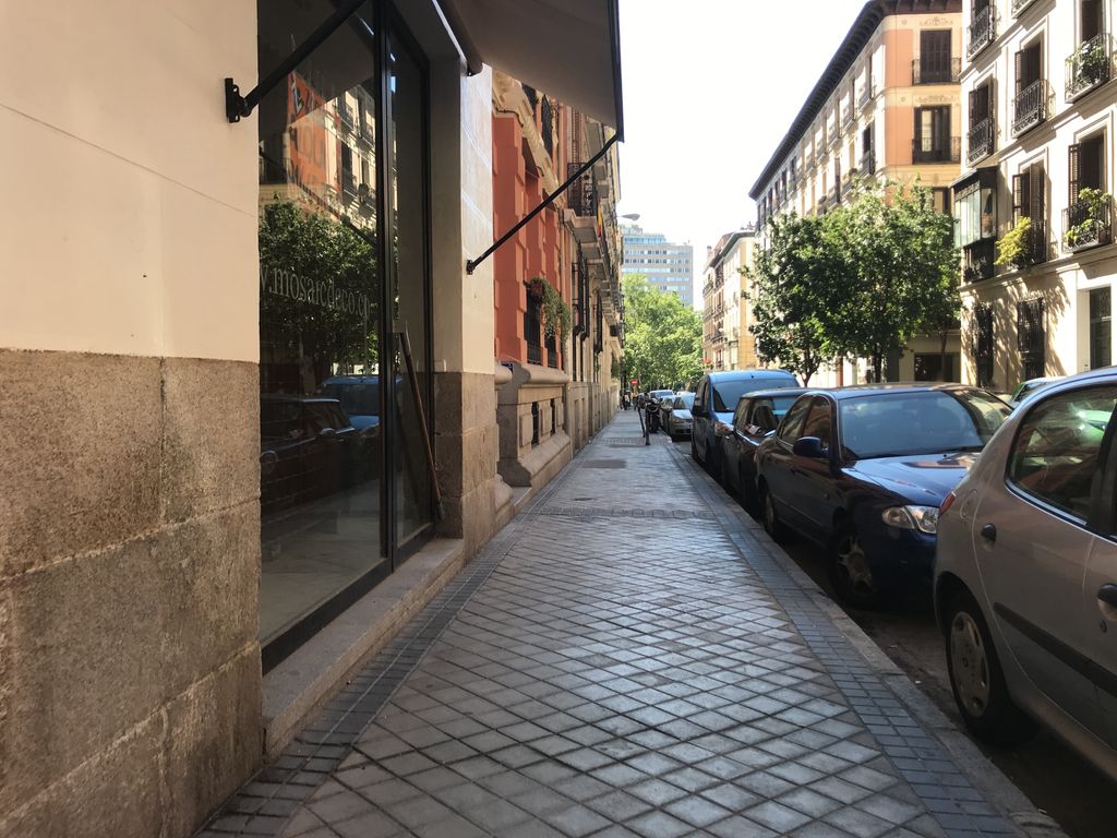 Viena Capellanes