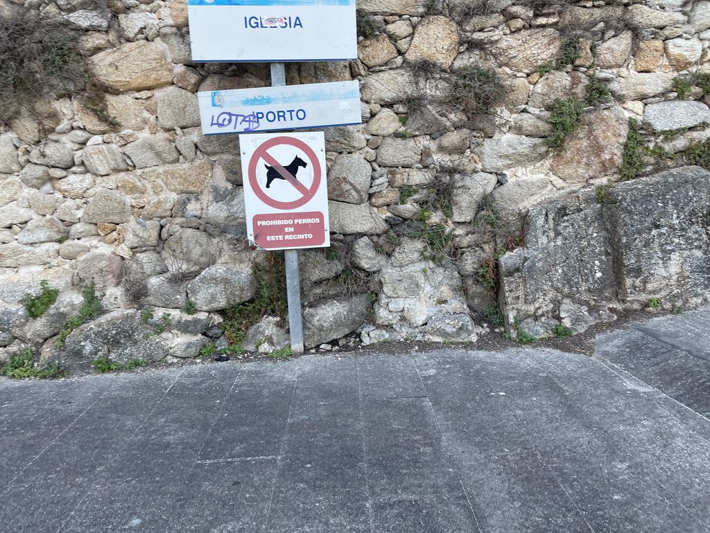 El Mirador