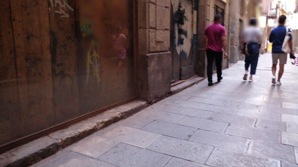 ALIMENTACIÓ MONK