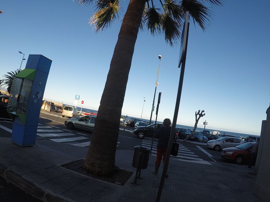 Molinera Paradise