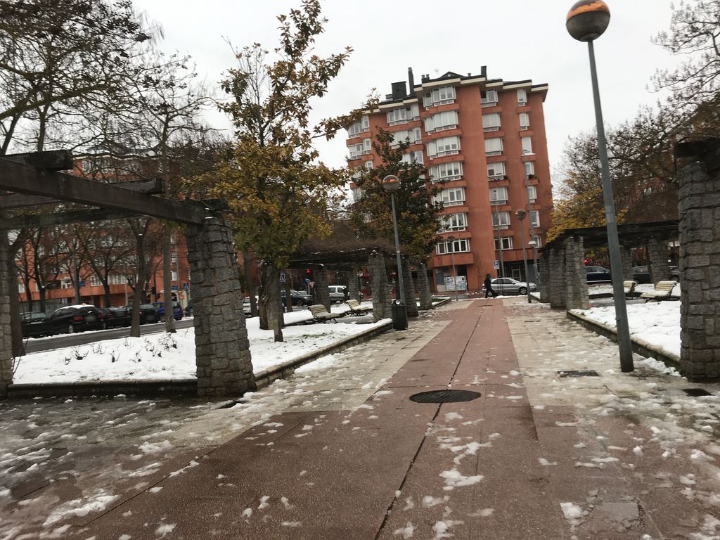Margolari