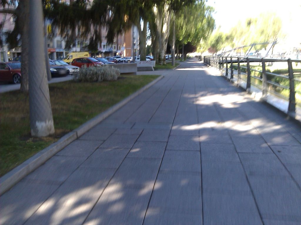 Dávila