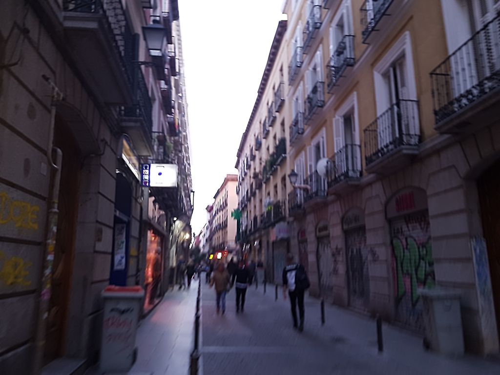 La Gatoteca