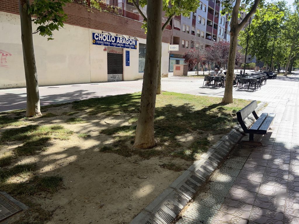 Bar Venus