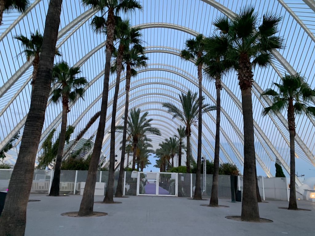 L'Umbracle terraza