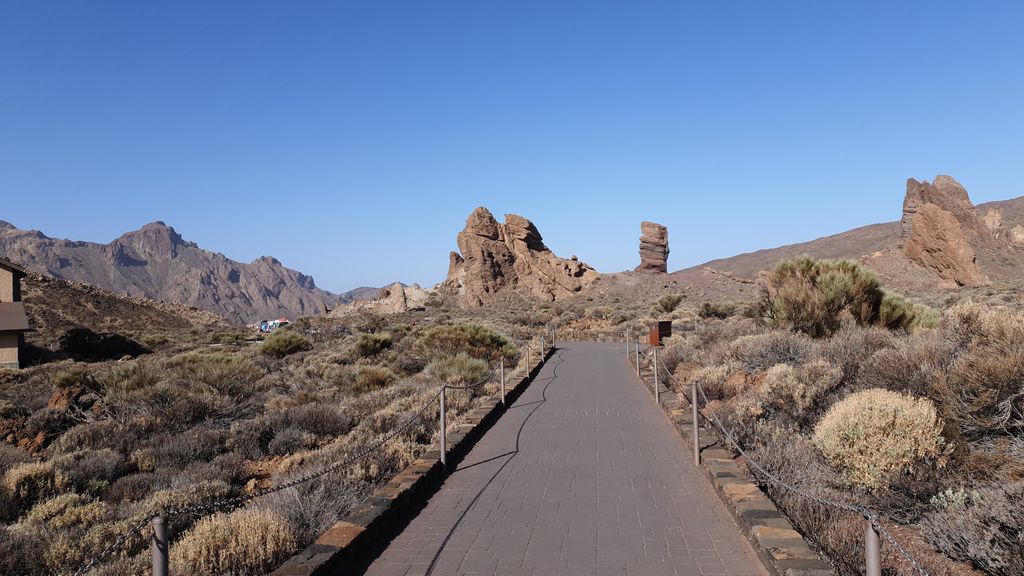 Cafetería Los Roques