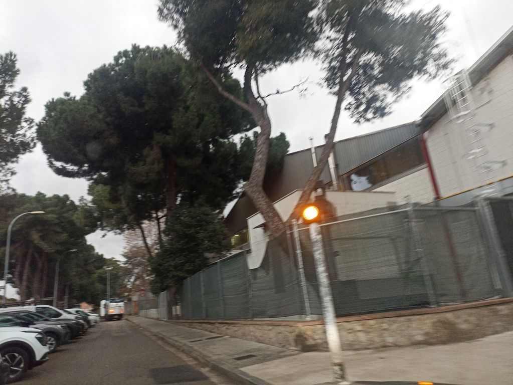 El Halcón