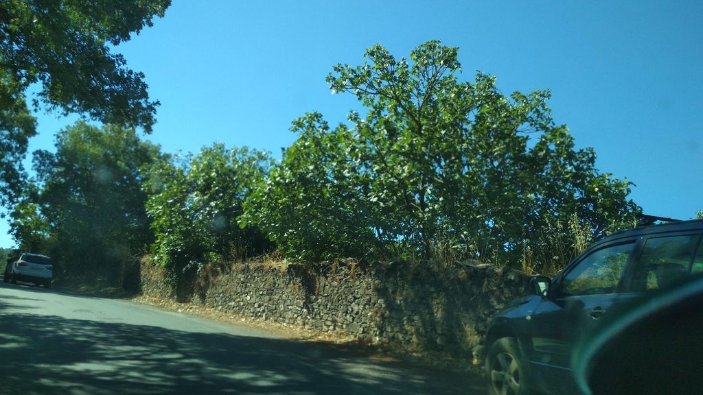 Casa Encarna
