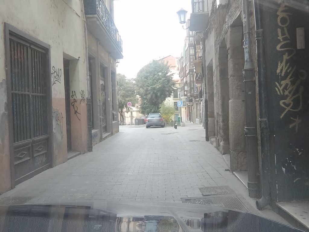 El Loro