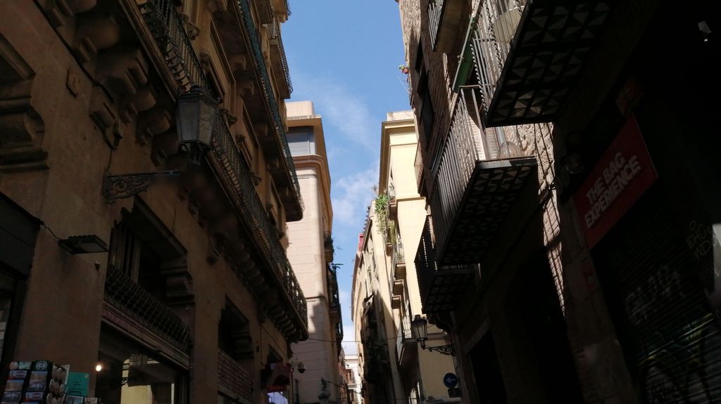 Cafés El Magnifico