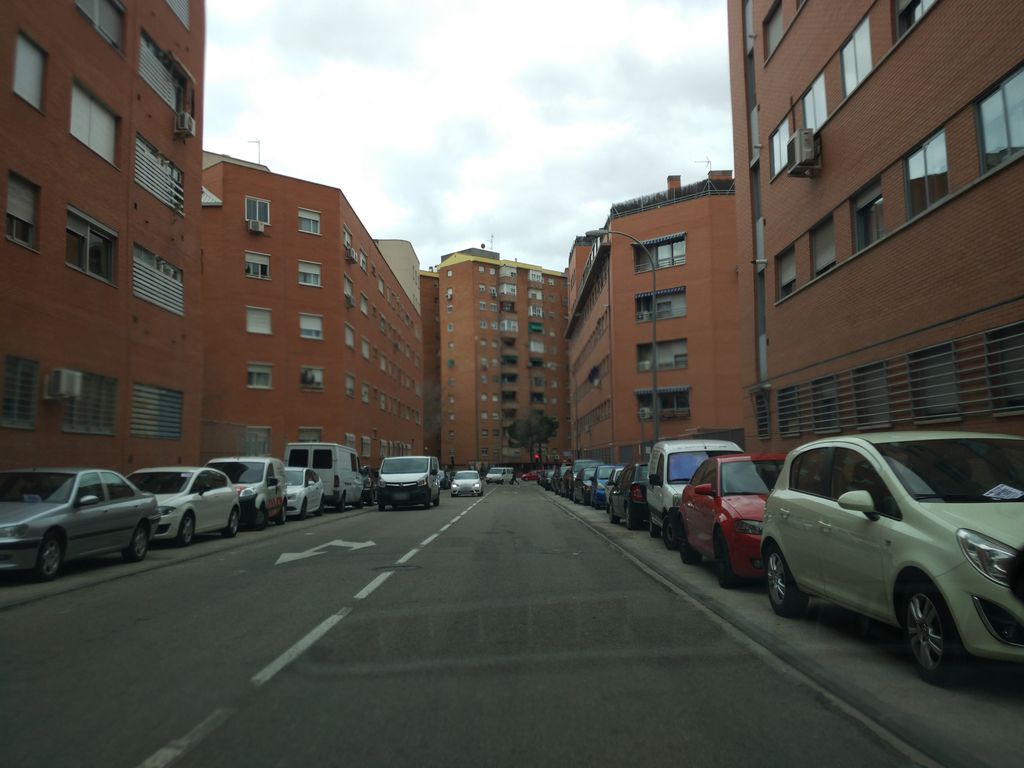 El Olivo