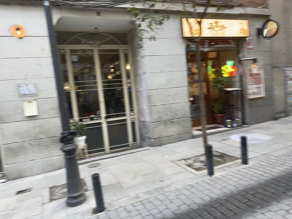 El Perro de la Parte de Atrás del Coche