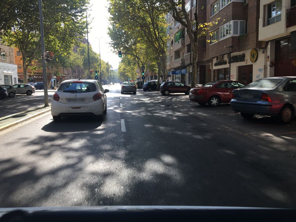El Bambú