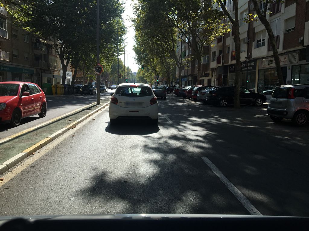 El Bambú