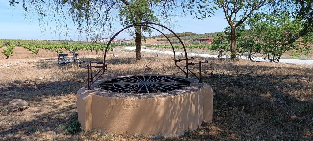 Bar abuelo