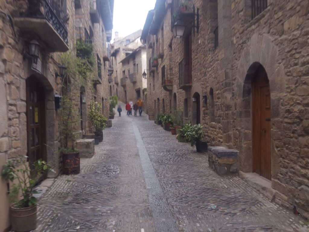 Bodega L'Alfil