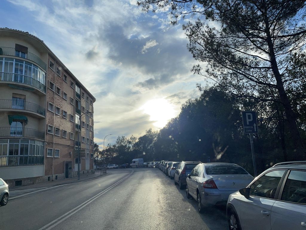El Sargal