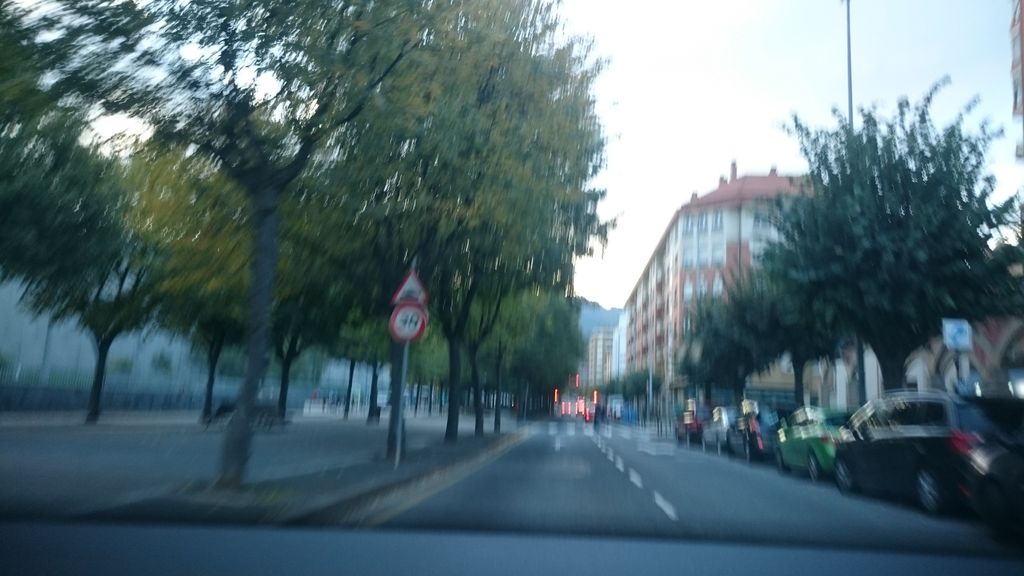 Dehesa de Don Saturnino