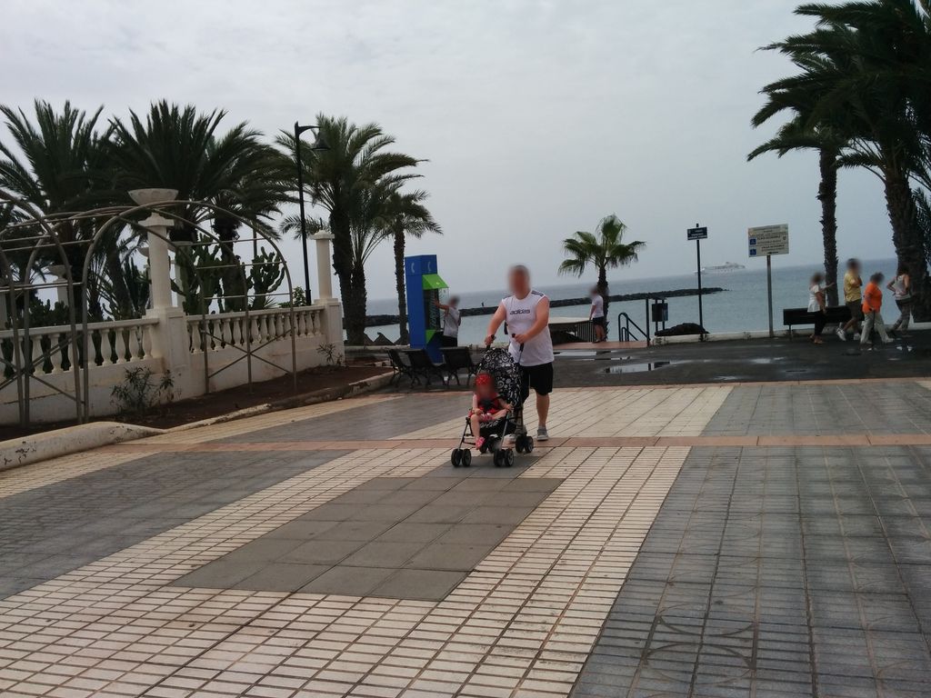 La Palapa