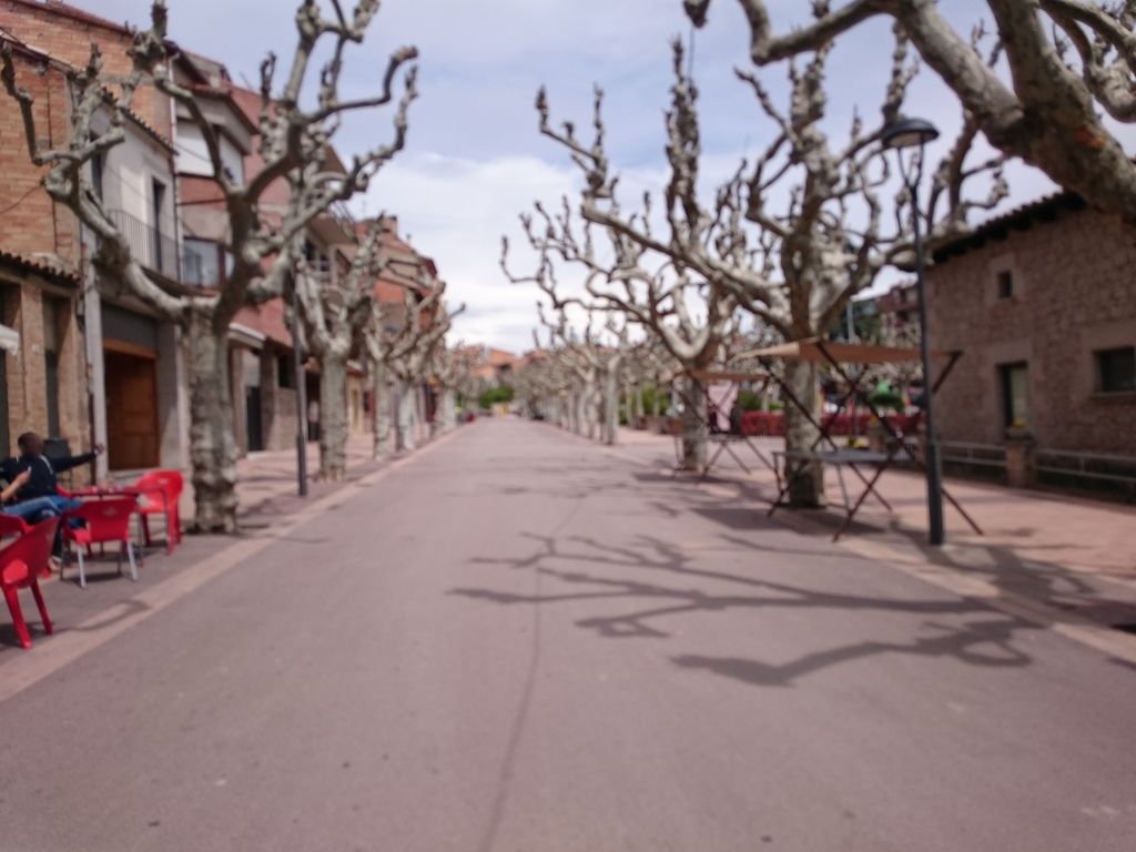 Bar Cafè Canya i Teca