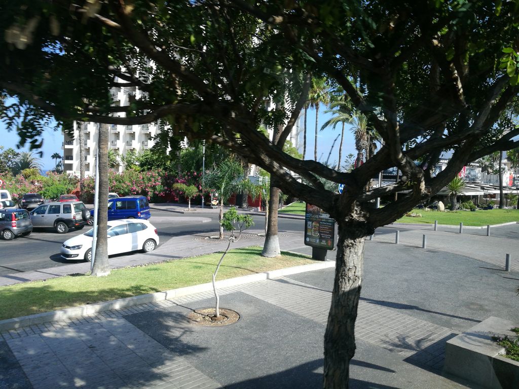 The Travellers' Rest