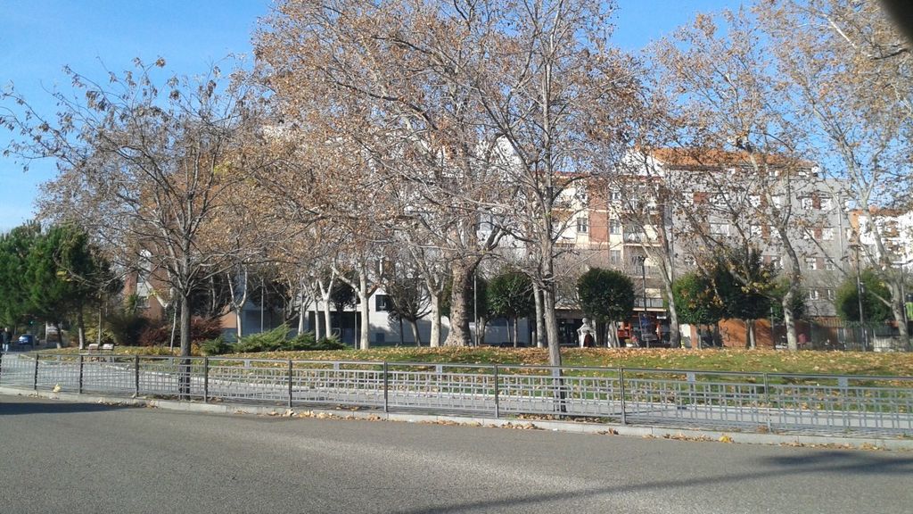 El Color de la Piel