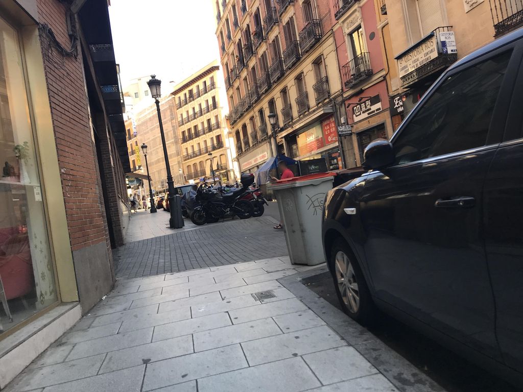 Leonesa