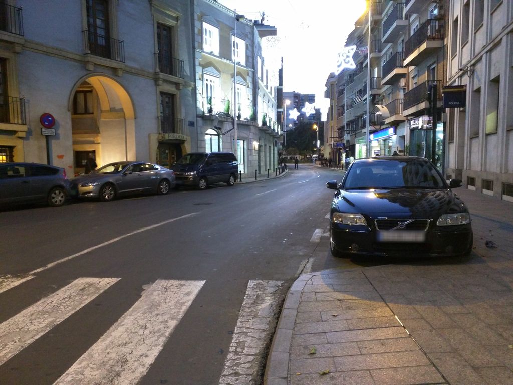 La Terraza Del Perro Azul