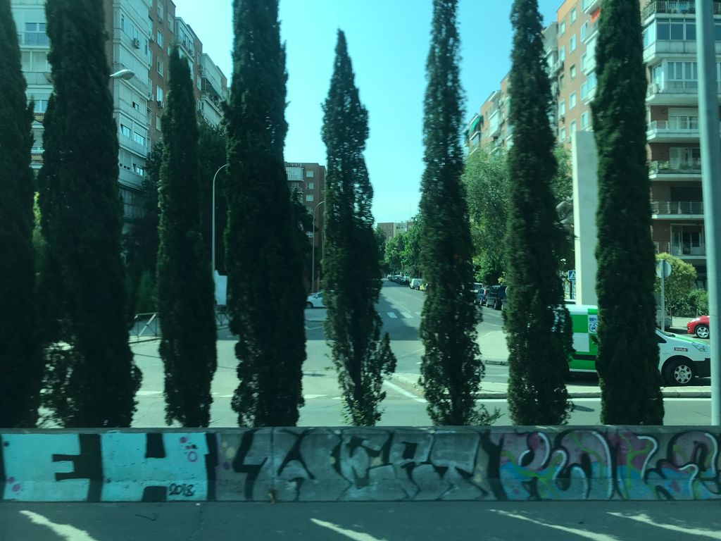 Arrebato
