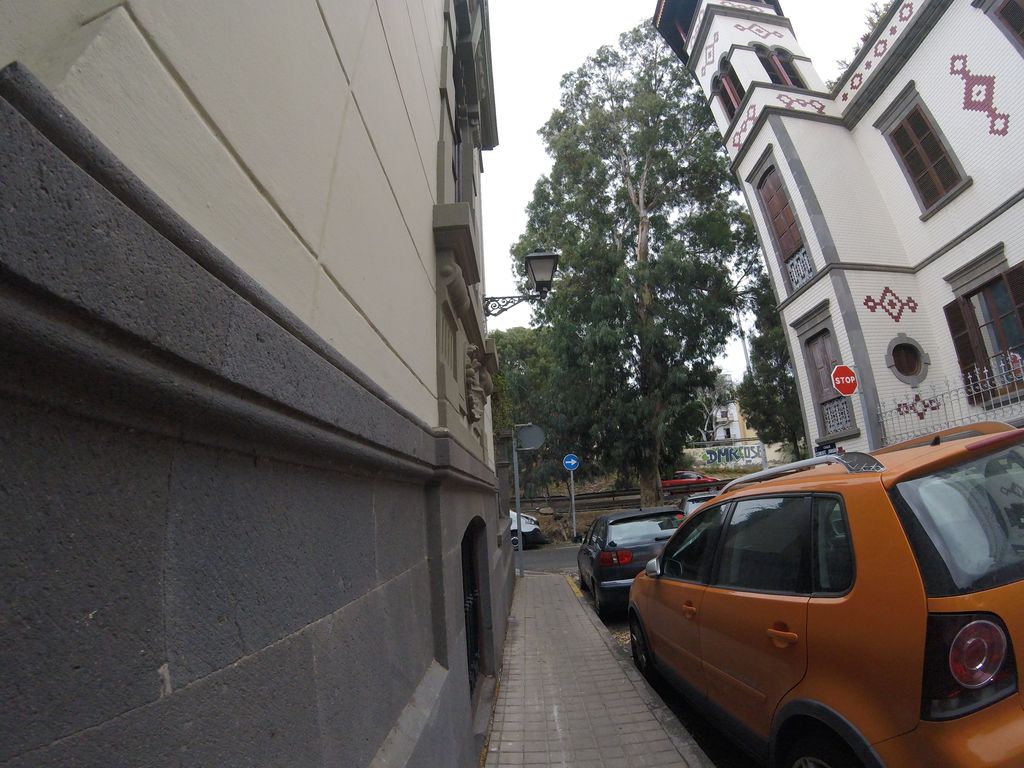 Club Real Sporting San José