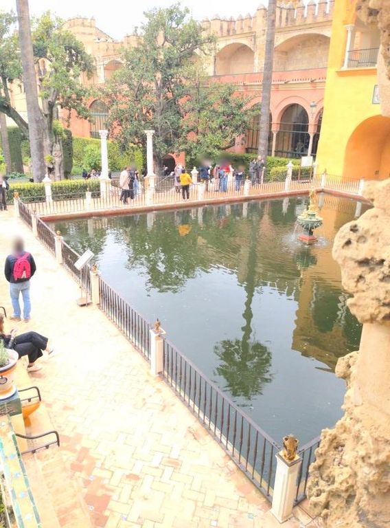 Cafetería El Jardín Esconodido
