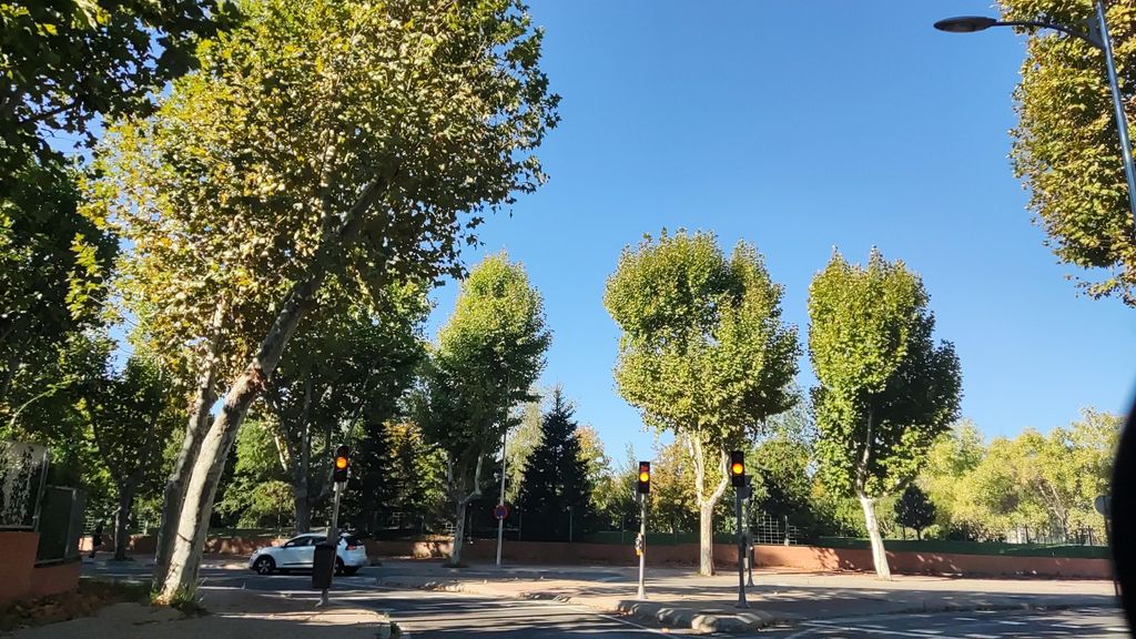 Facultad de Forestales